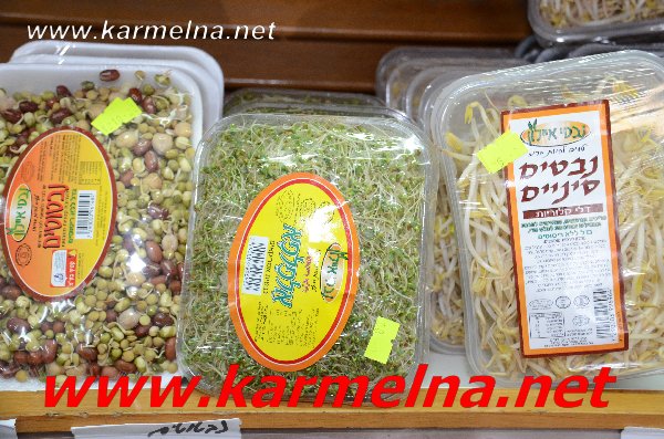 خضار وفواكة ربيع ابو الزلف